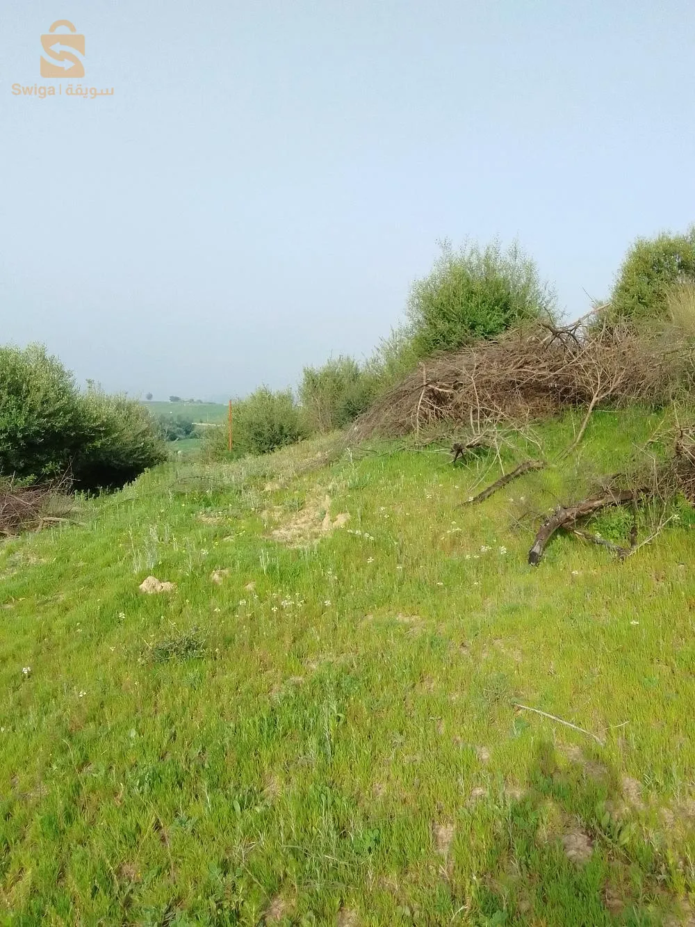 vente Terrain Tirsatine