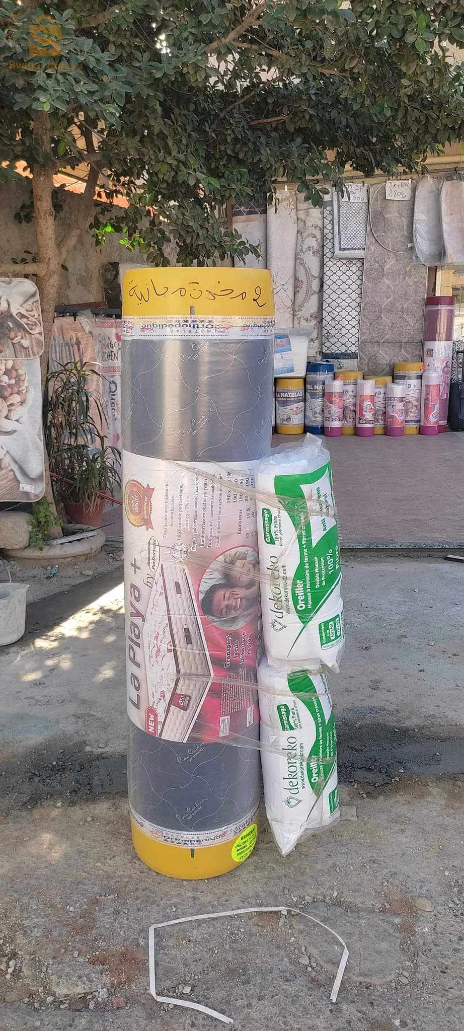 بومرداس قورصو