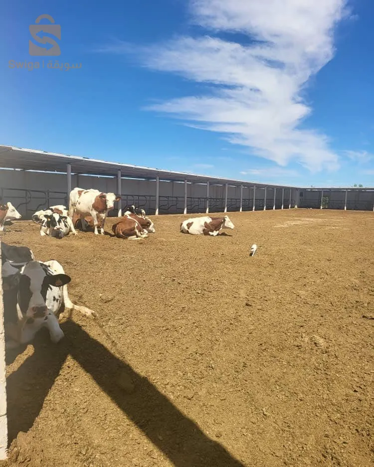 Ferme de production de lait