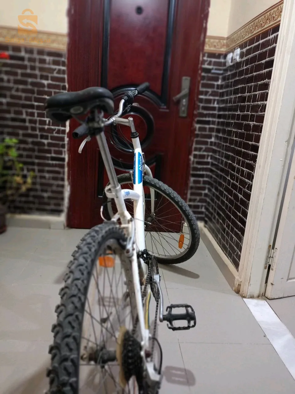 العلمة بورفرف