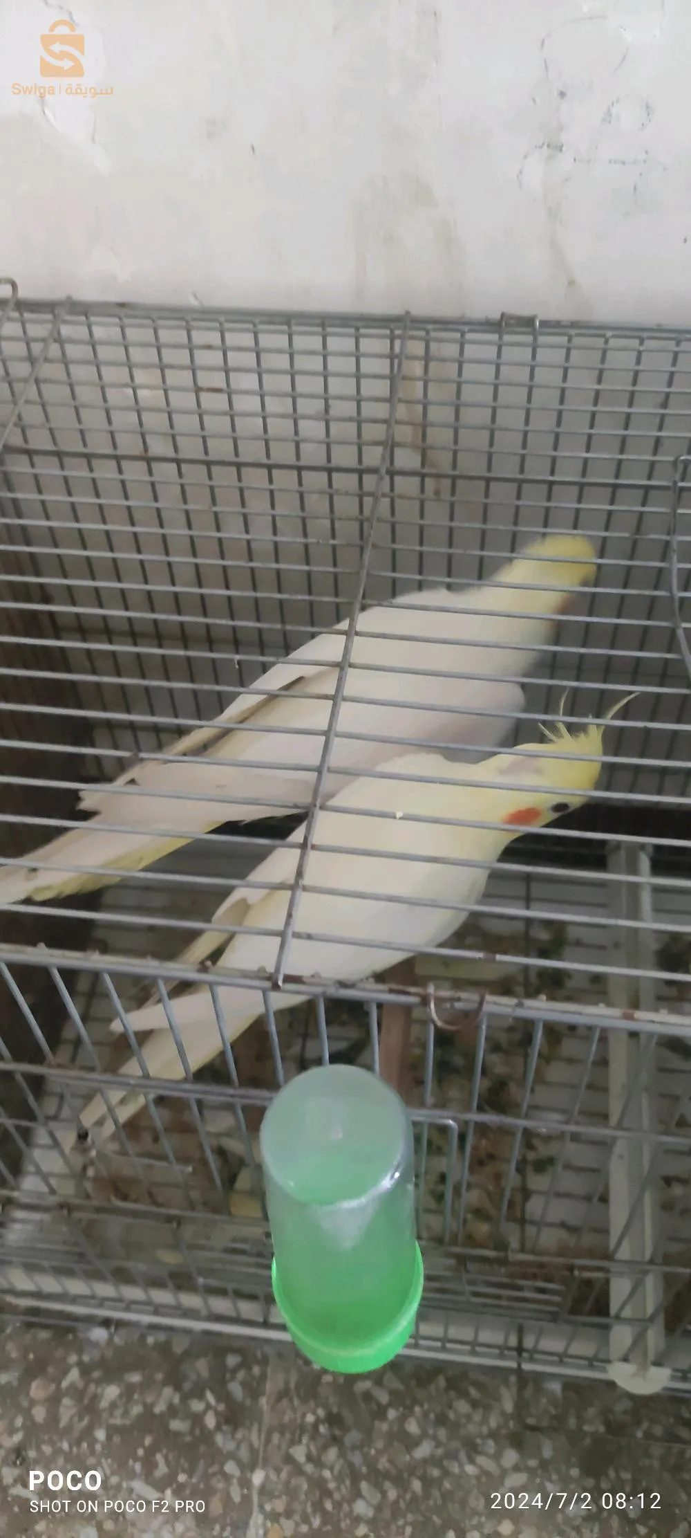 0773226657