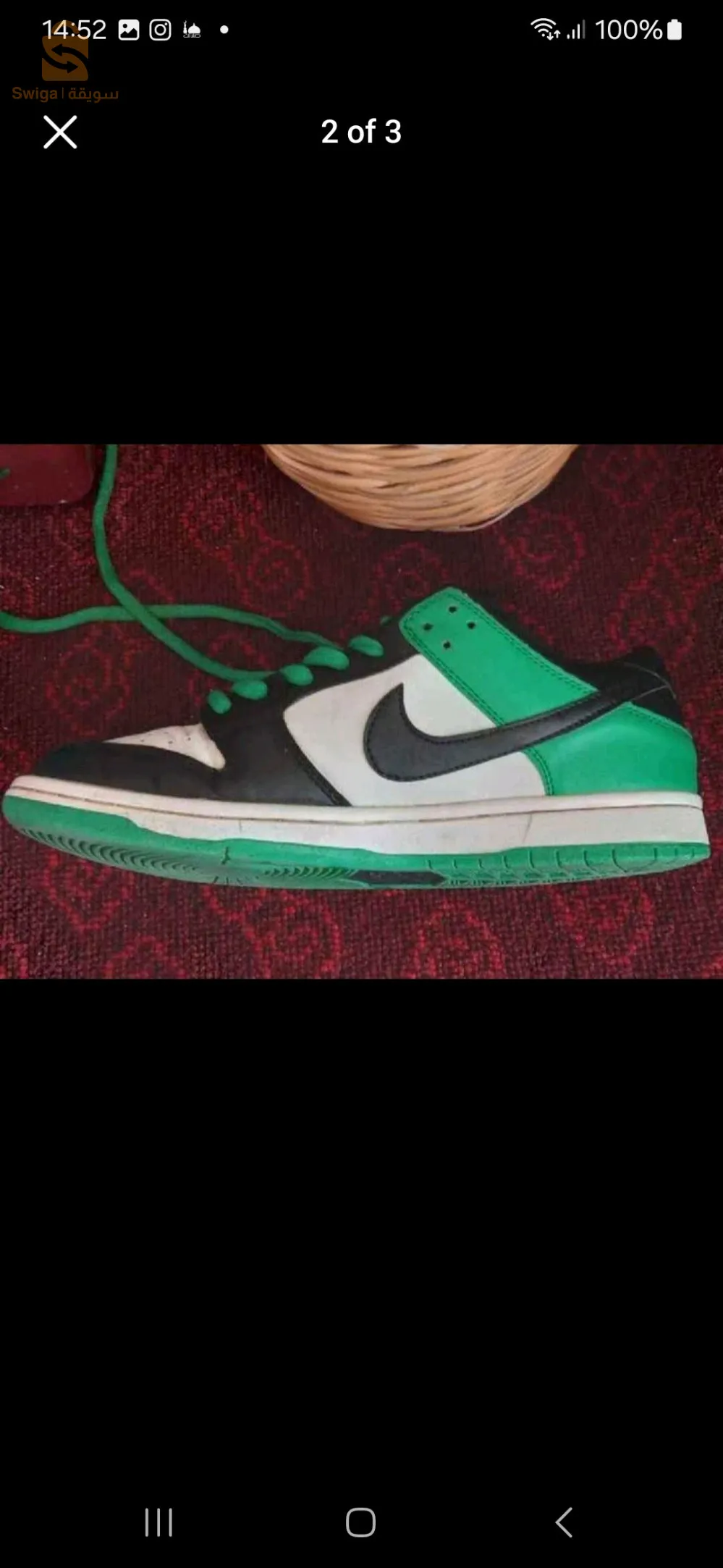 nike sb dunk low pro 43