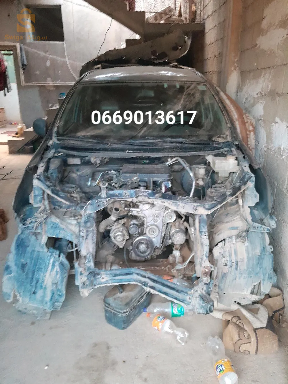 djelfa