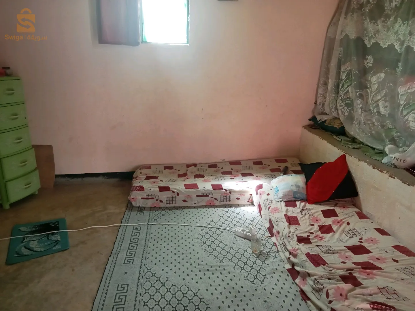 رمشي تلمسان