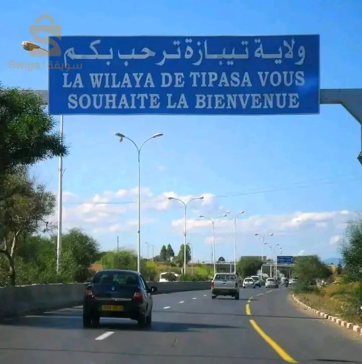A Vendre terrain agricole à Tipaza