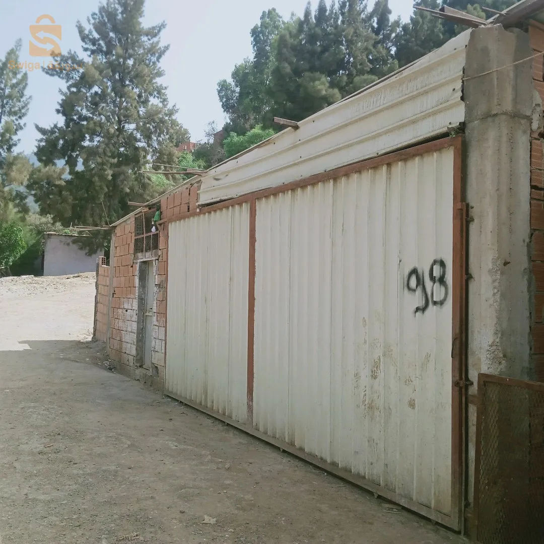 كراء مستودع في البليدة