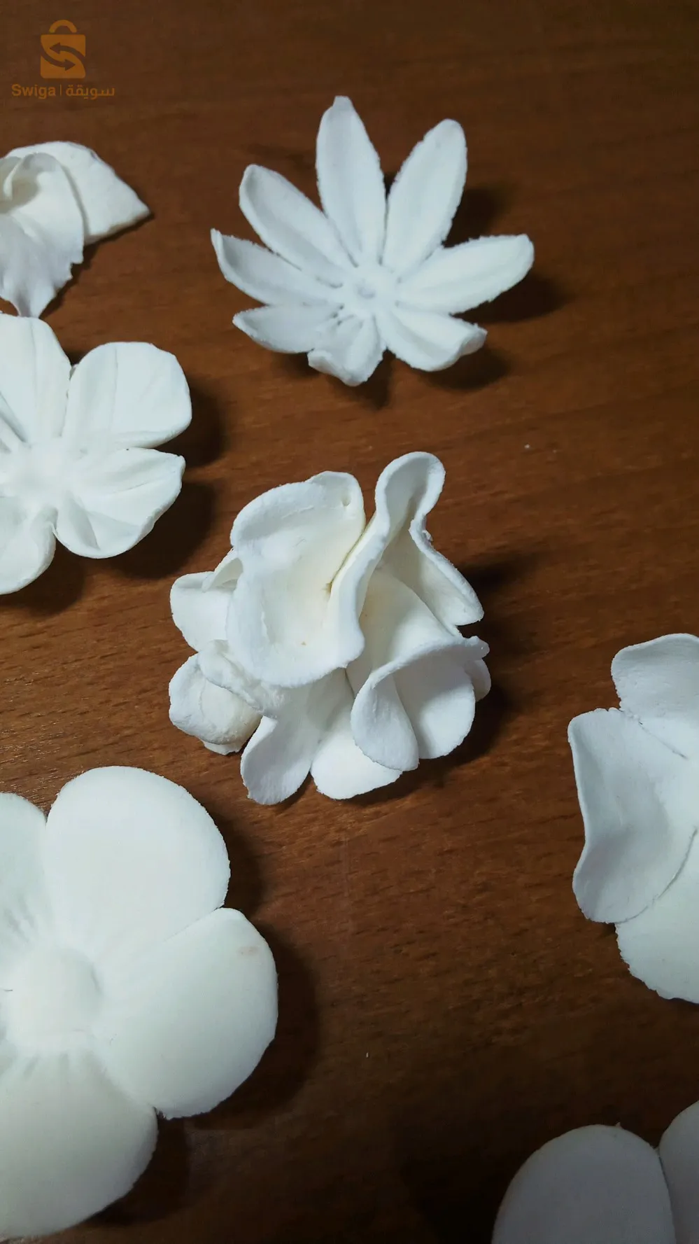 عين الدفلى وسط المدينة مع توفر التوصيل