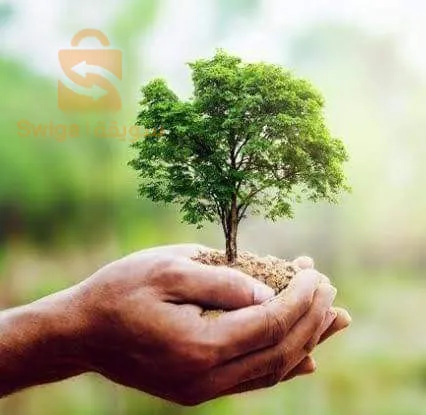 تركيب أربعة مليون للهكتار
