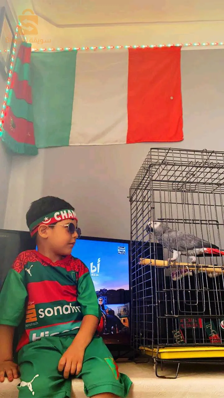 عين المالحة 2