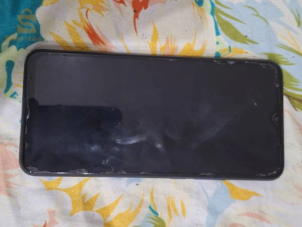 وهران دائرة بئر الجير حي الالفية