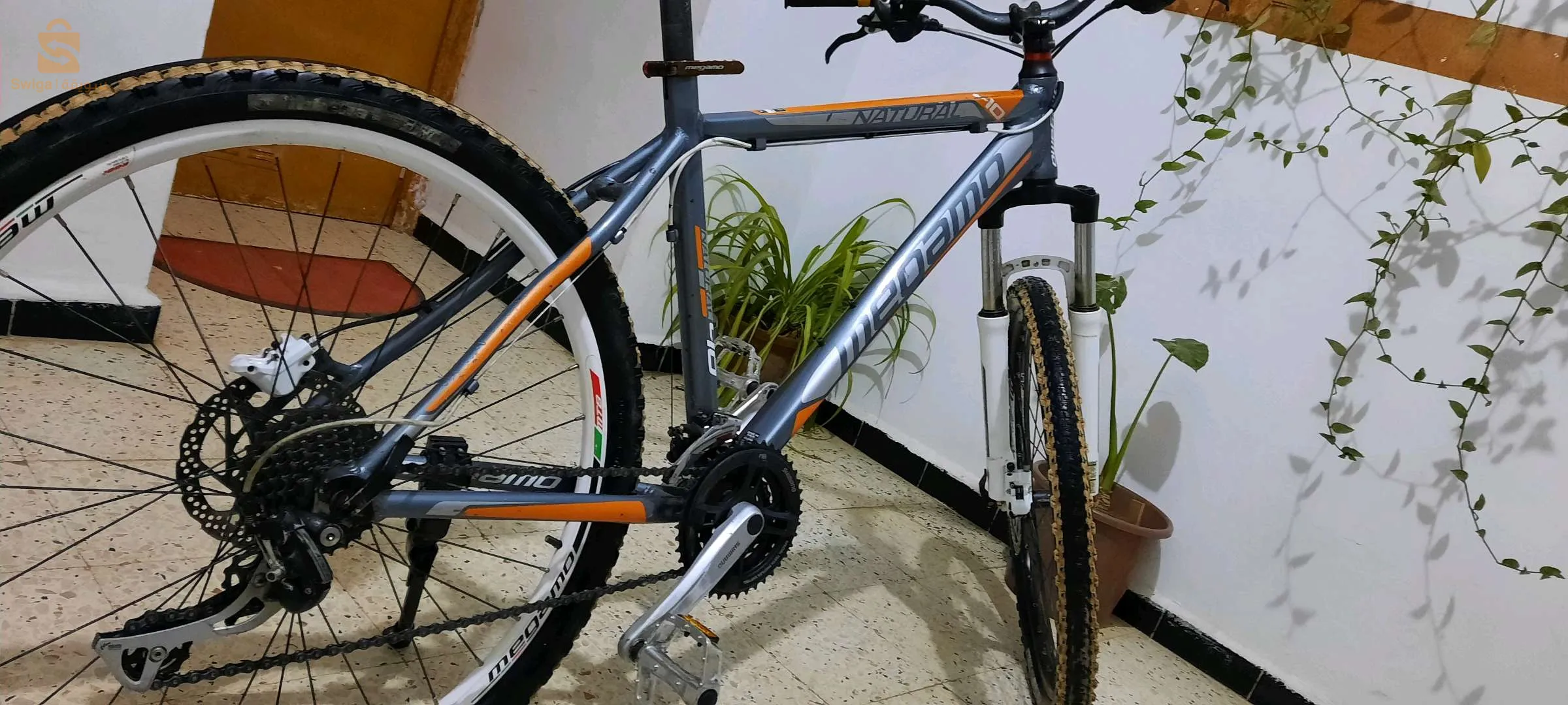 ✨️✨️✨️✨️✨️✨️✨️💪💪💪💪💪💪💪
  خاوتي لعزاز هايليكم جديدفيلو جديدة هيدروليك natural meogmo فيلو جديدة وكادر نقي وكلارة تاعها اوريجينال وطاي L