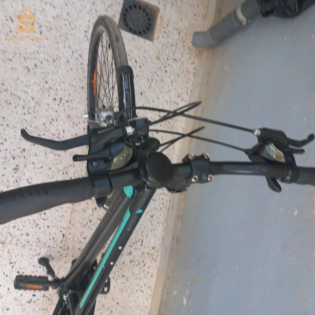 دراجة هوائية نوع Pegasus