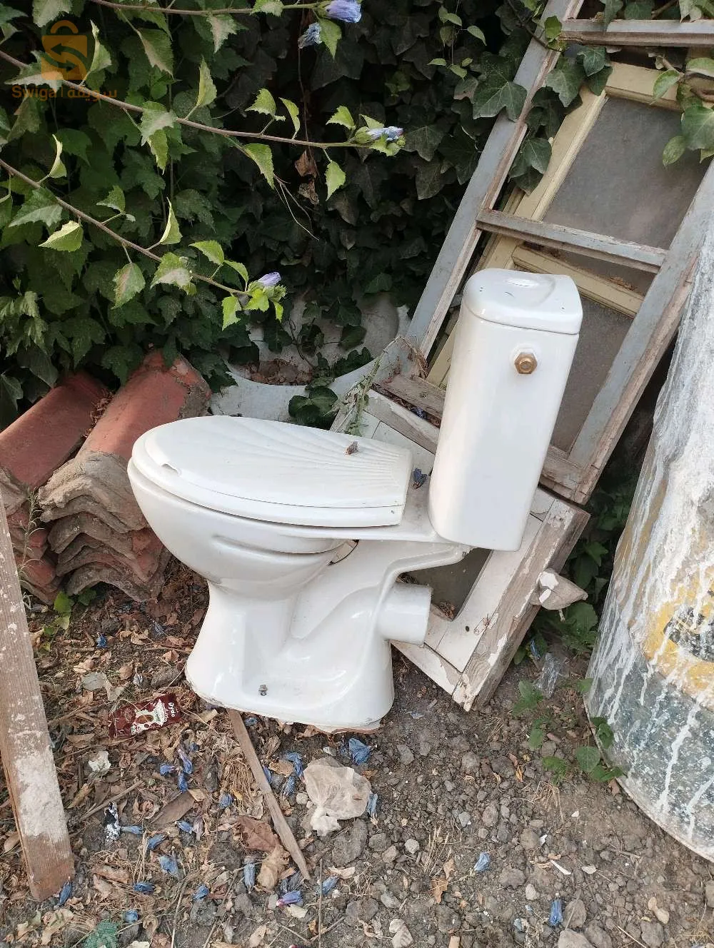 مرحاض انجليزي