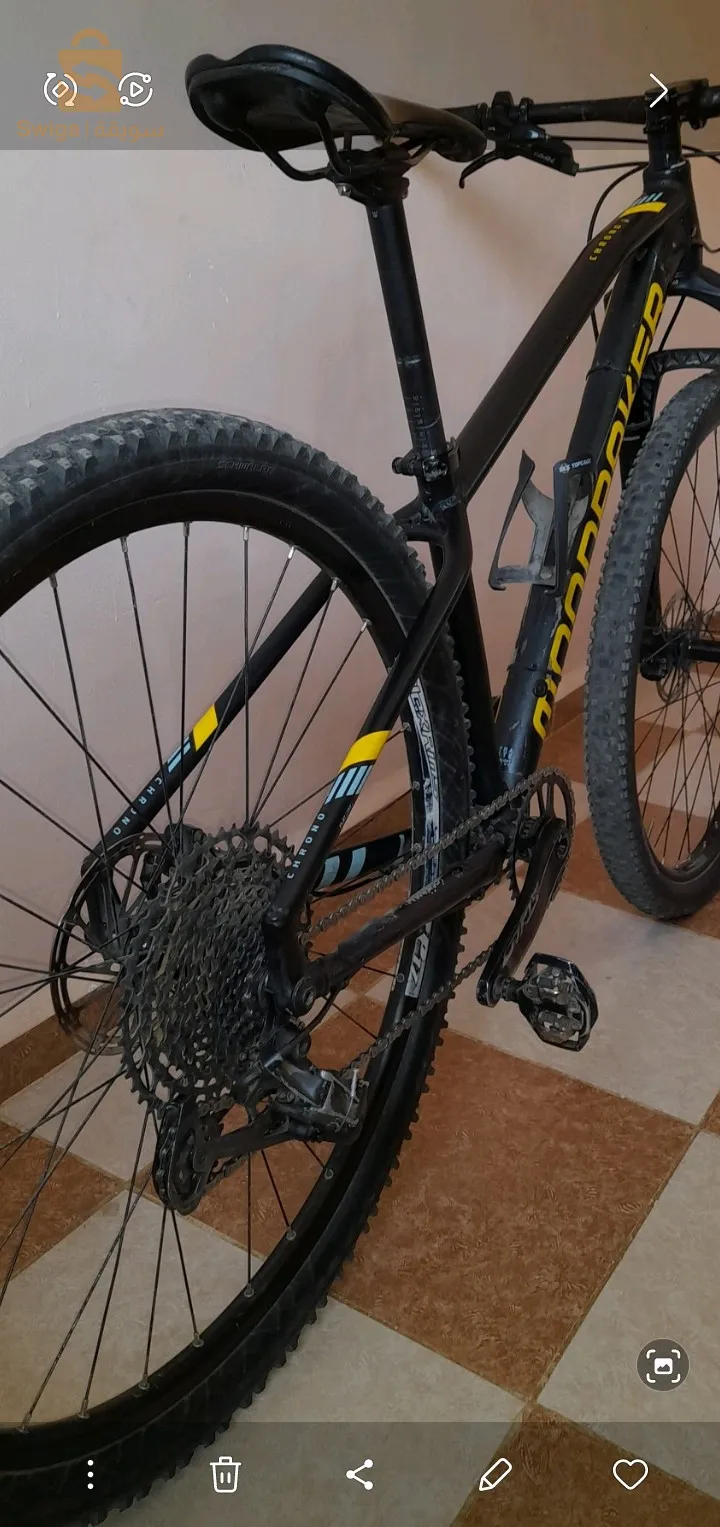 فيلو مشاءالله  اخوطنا من سوق الذر