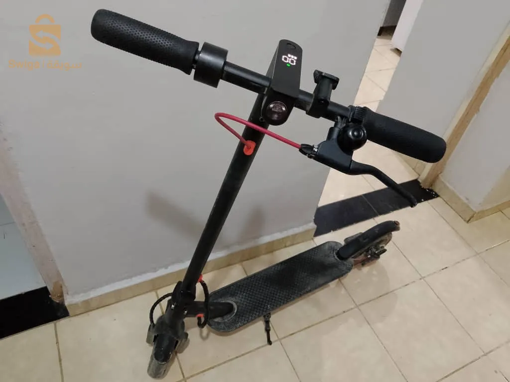 ولاية سعيدة