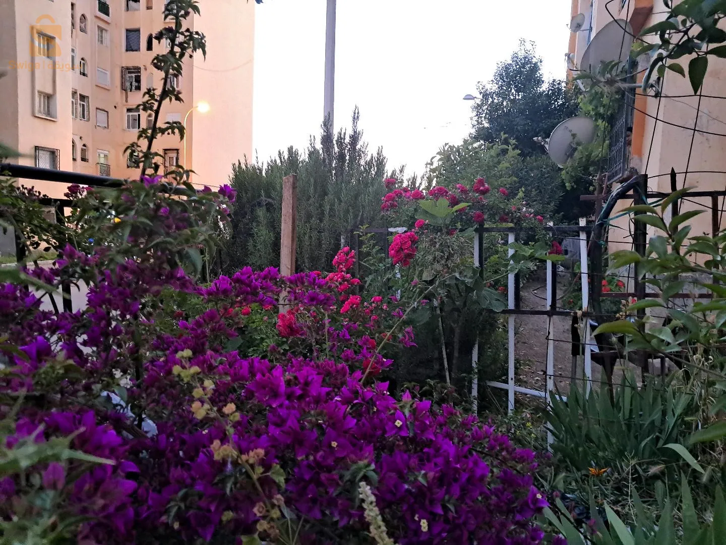 شقة للبيع طابق أرضي0556971012