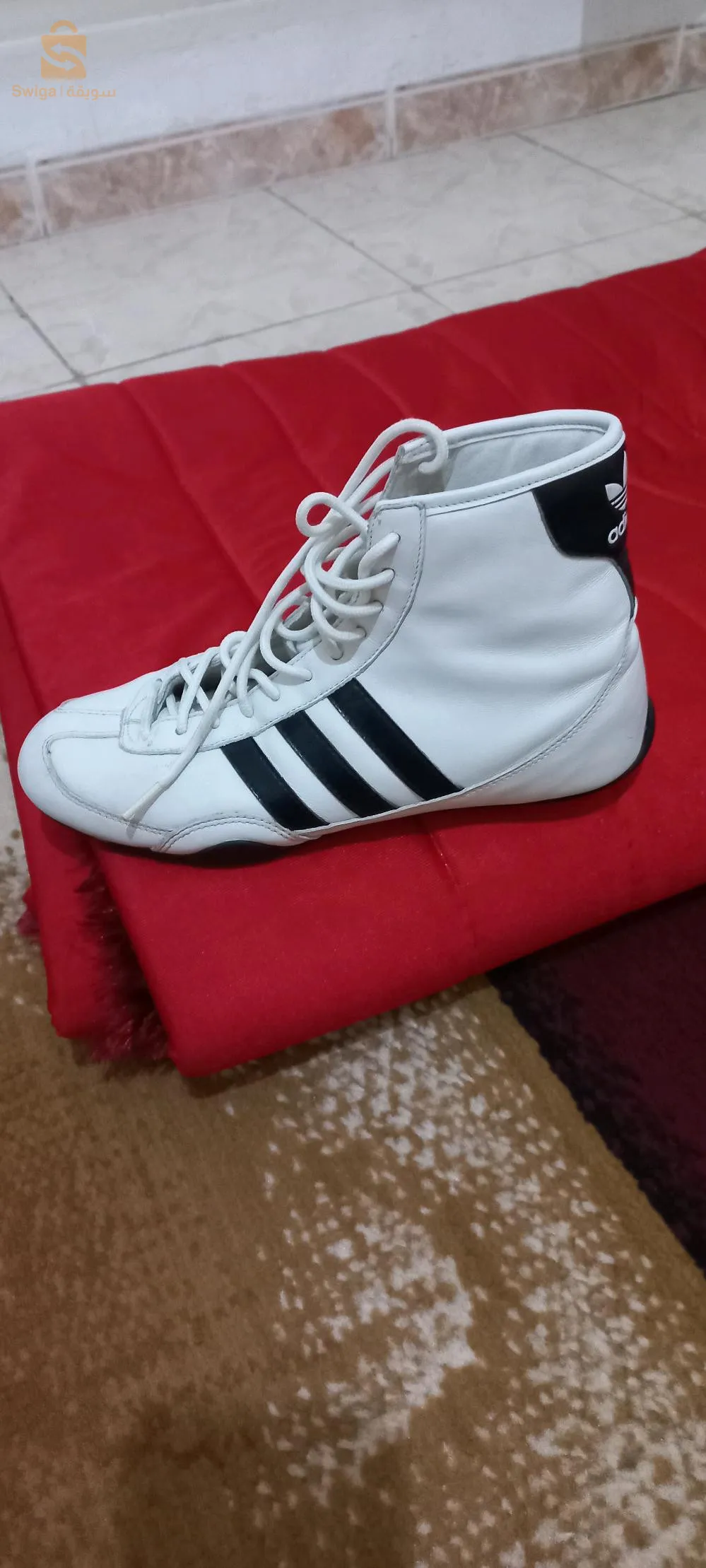 براقي. الجزائر