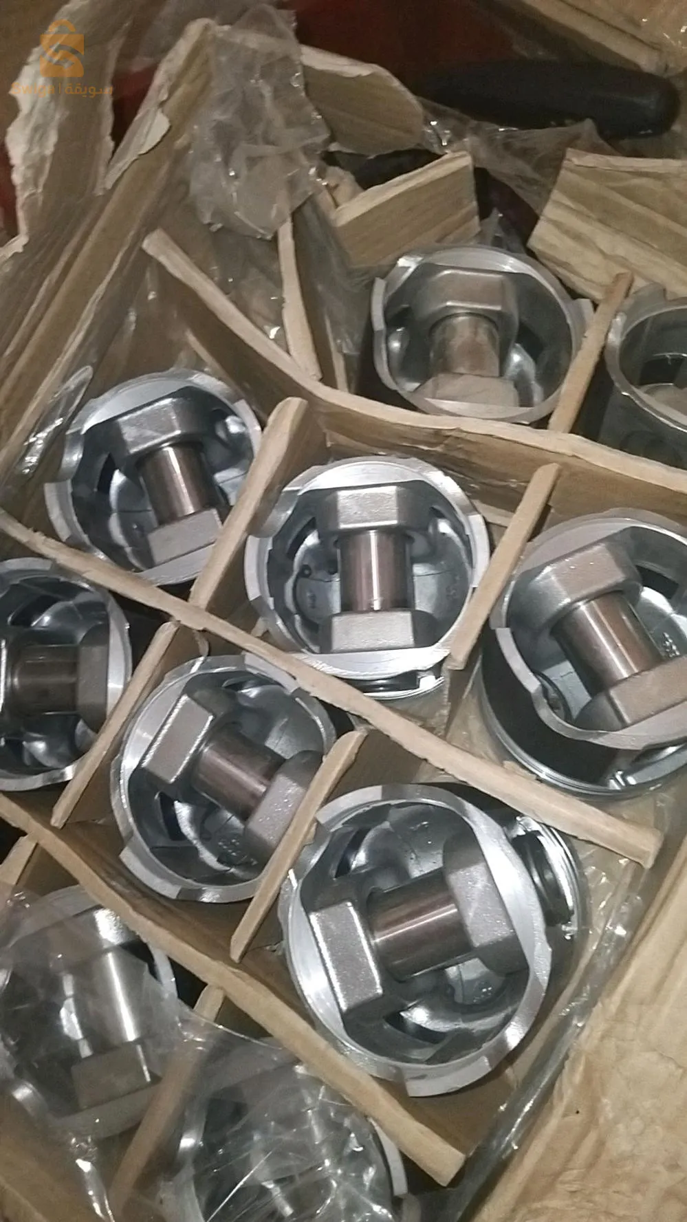 بيع جملة وتسقييط