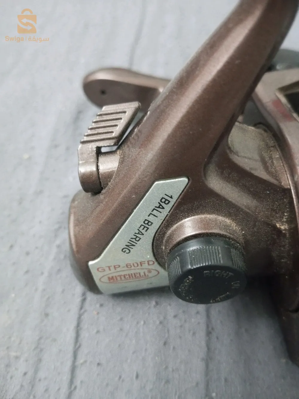 موليني ميتشال