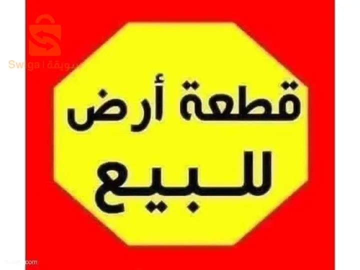 قسنطينة