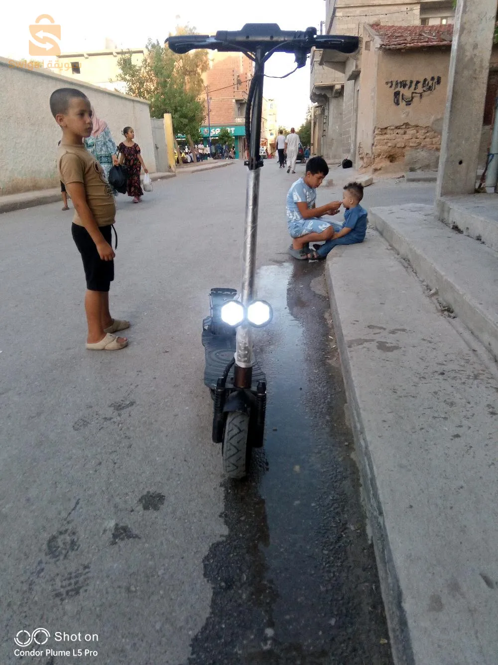 تروتينات