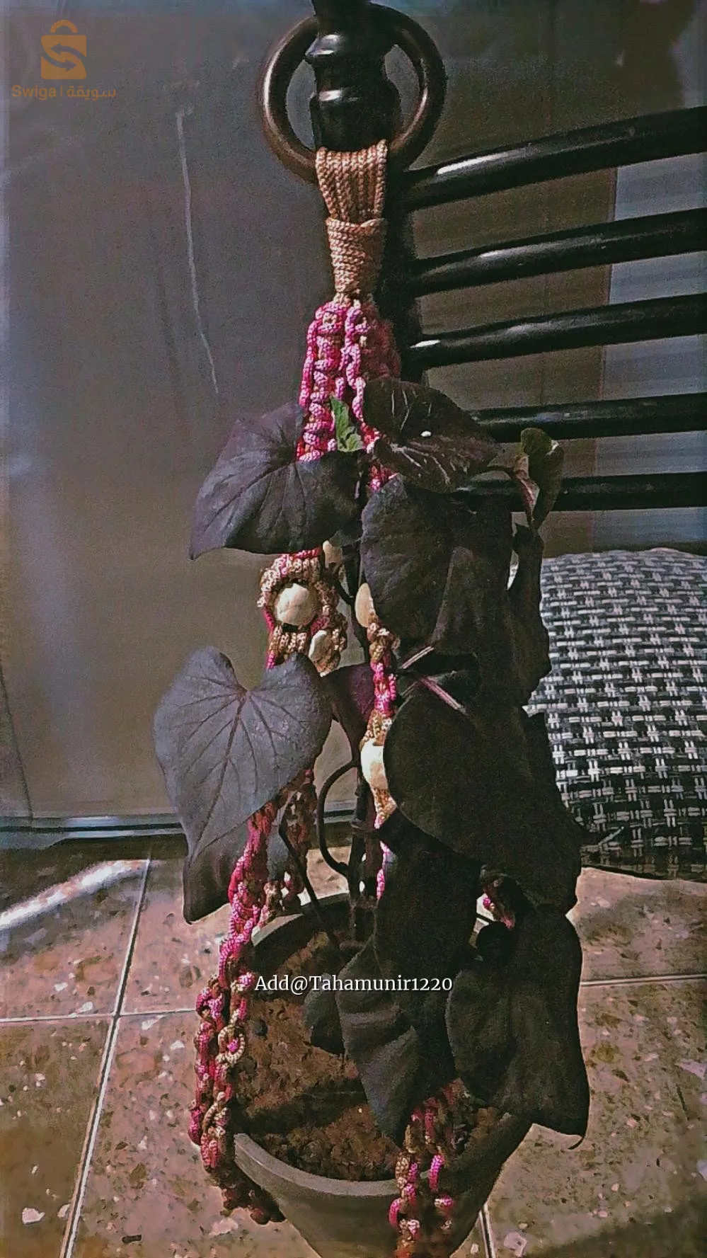 Indoors plant hanger