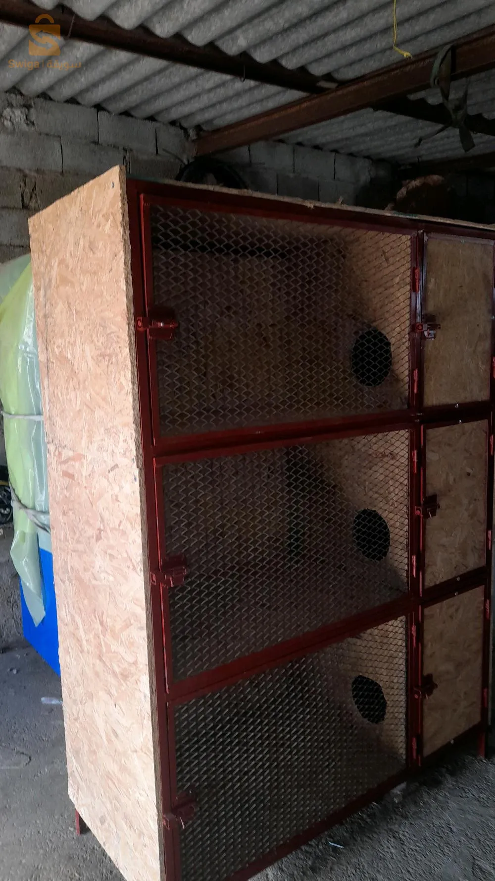 العلمة سطيف