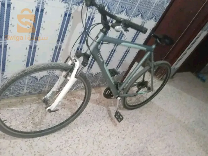 بوتوين كلش ريڨلو