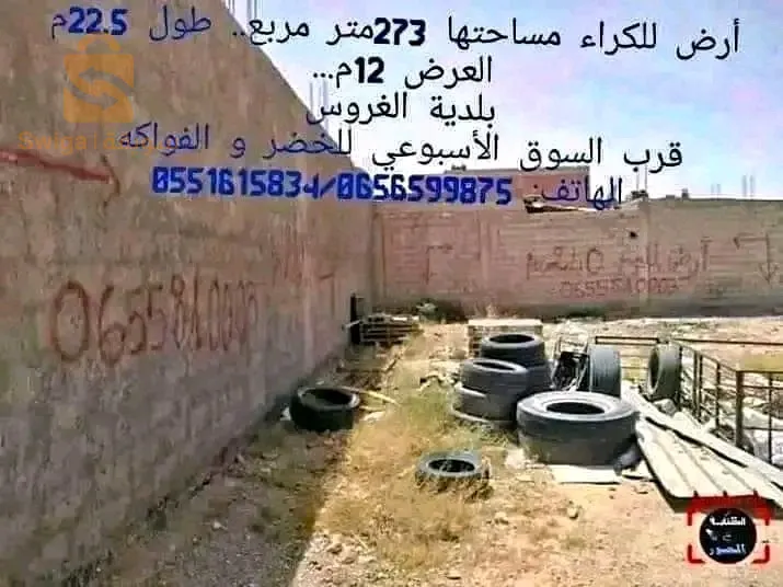 بلدية الغروس ولاية بسكرة قرب السوق الاسبوعي لخضر و الفواكه