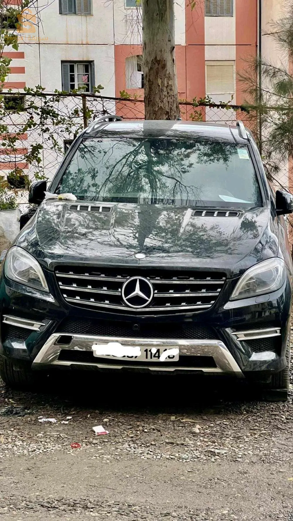 بلدية بوروبة