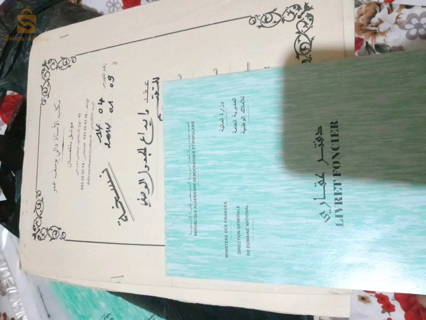 عين قراجا اراضي بن يلس -سيدي سعيد ،تلمسان