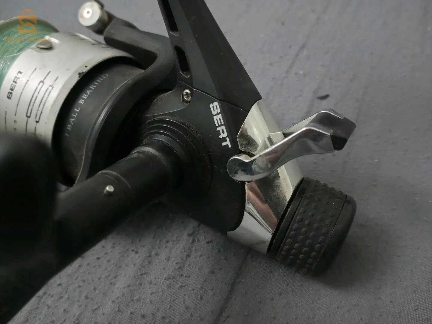 موليني. للصيد