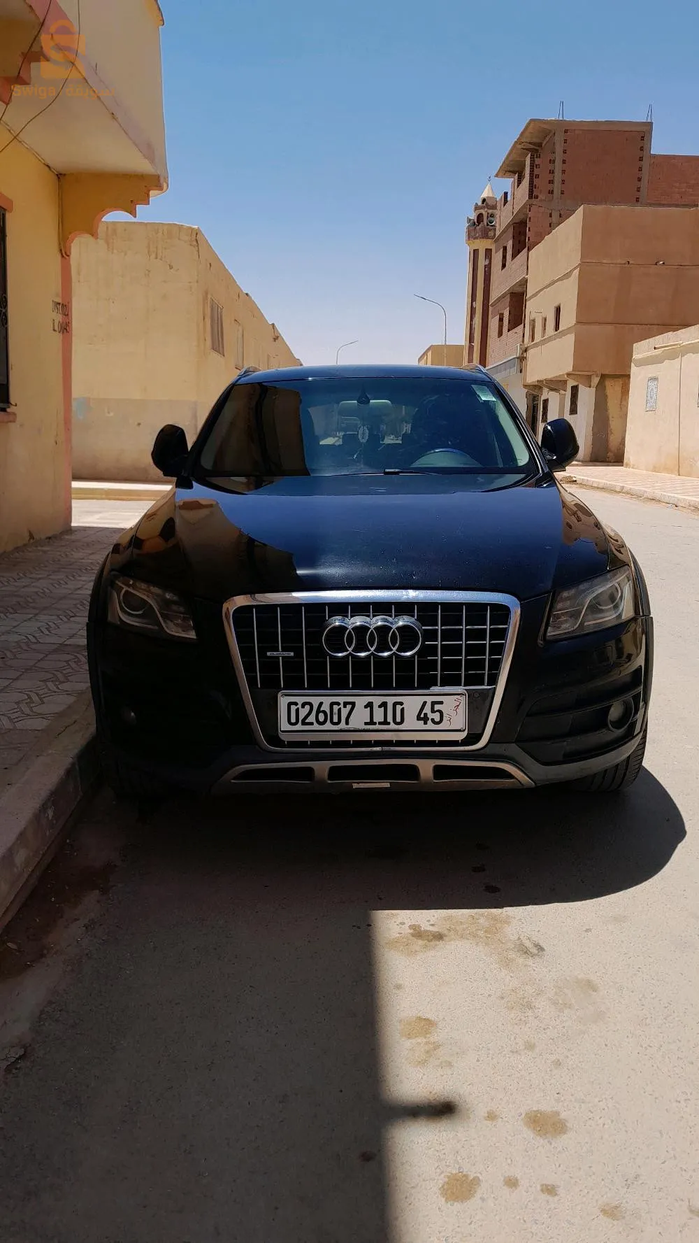 البيوض ولاية النعامة