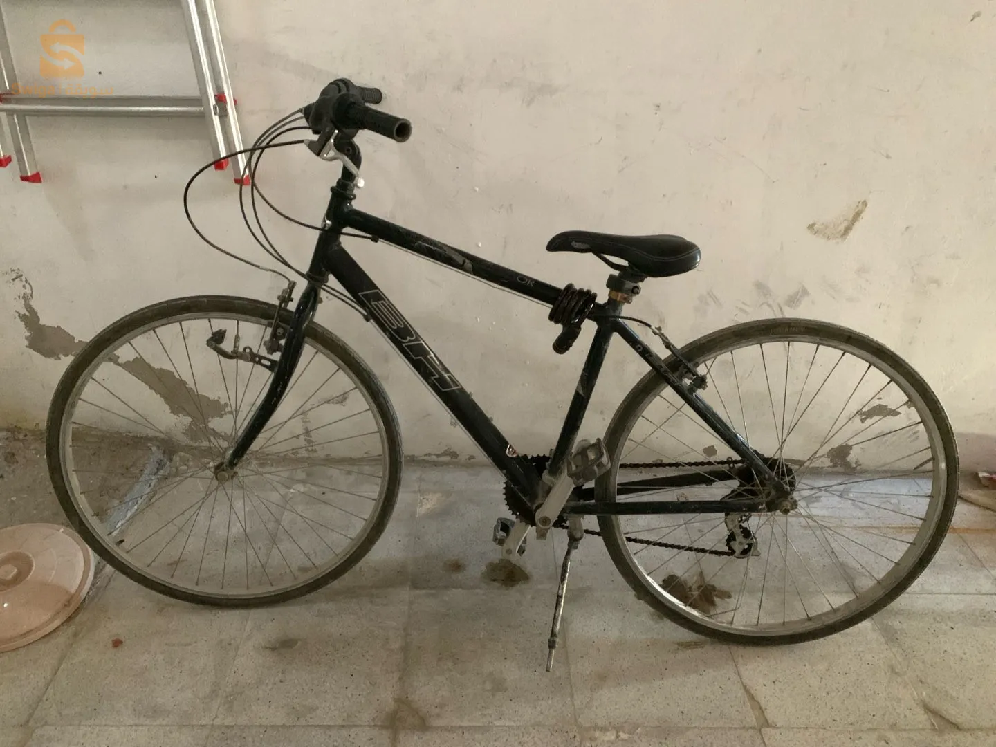 فيلو نقية بحالة جيدة جدا