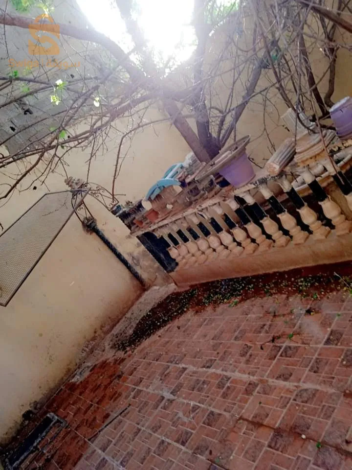 دان سبع