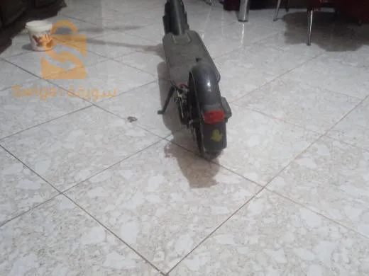 تروتينات اليكتريك