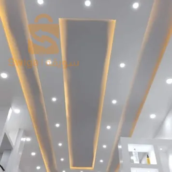 placo plâtre et peinture 0771271880