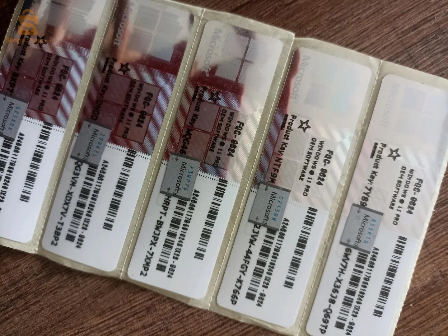 وينداوز 10 بروفيسيونال