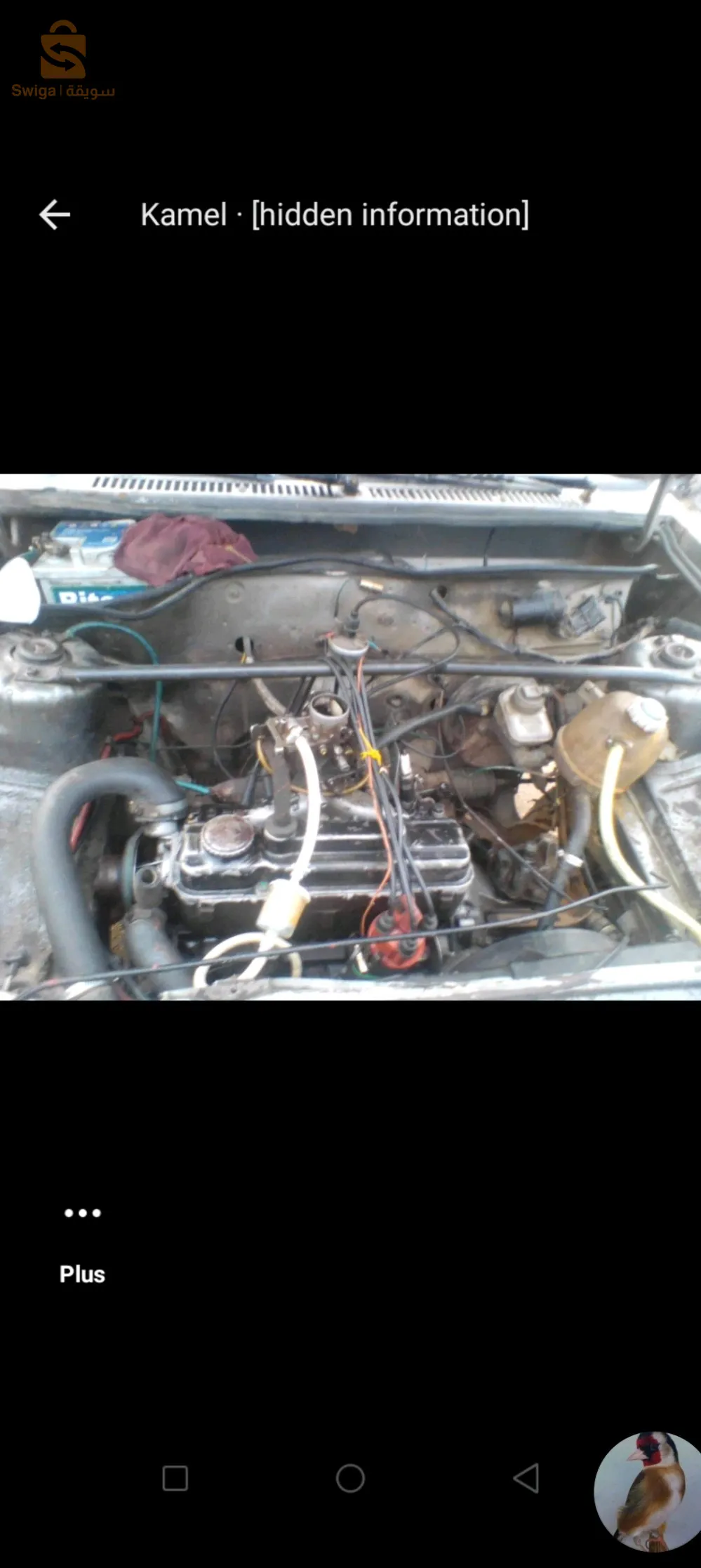 سور الغزلان رقم الهاتف 0674322519