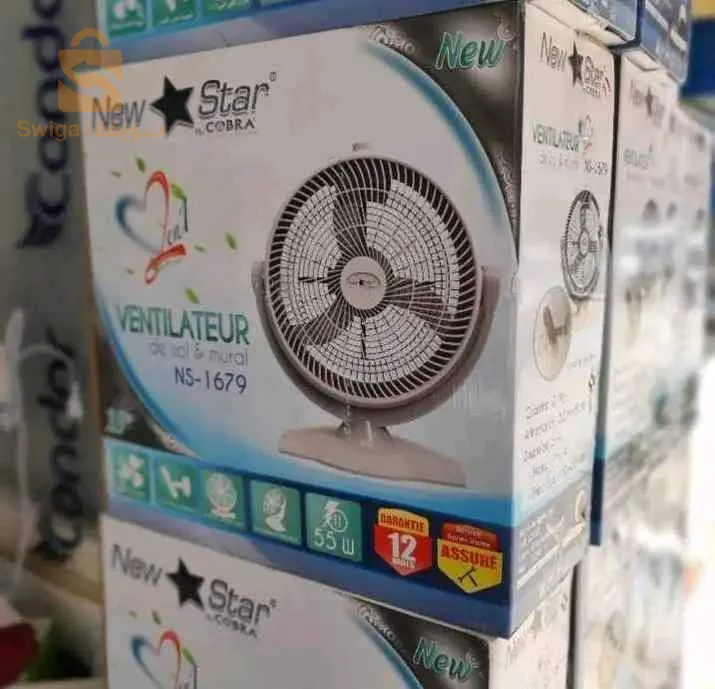 Ventilateur NEW STAR 2 en 1