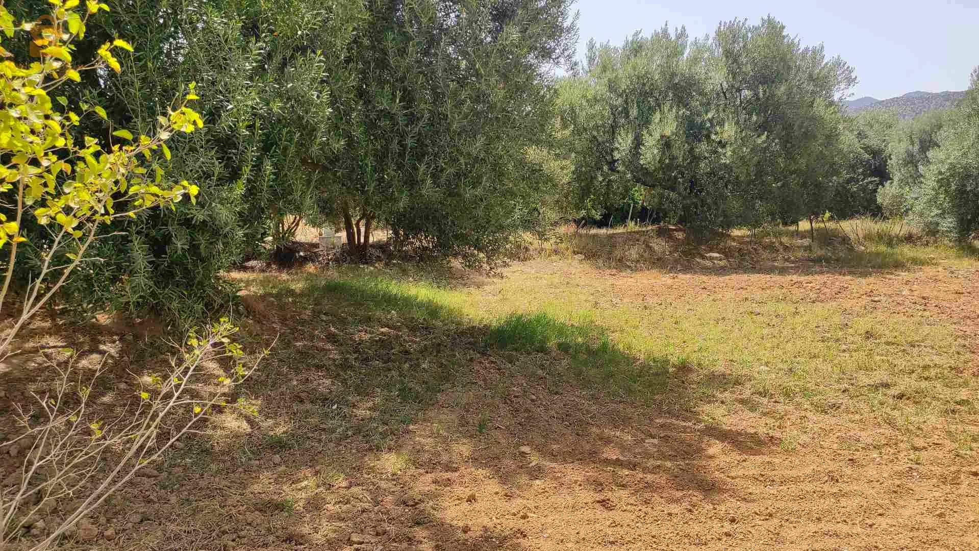 قطعة ارض للبيع مساحة 1600متر افتيس بوعزيز بلدية بوجليل ولاية بجاية الوثائق عقد ملكية فيها الغاز الكهرباء الماء منطقة سكانية