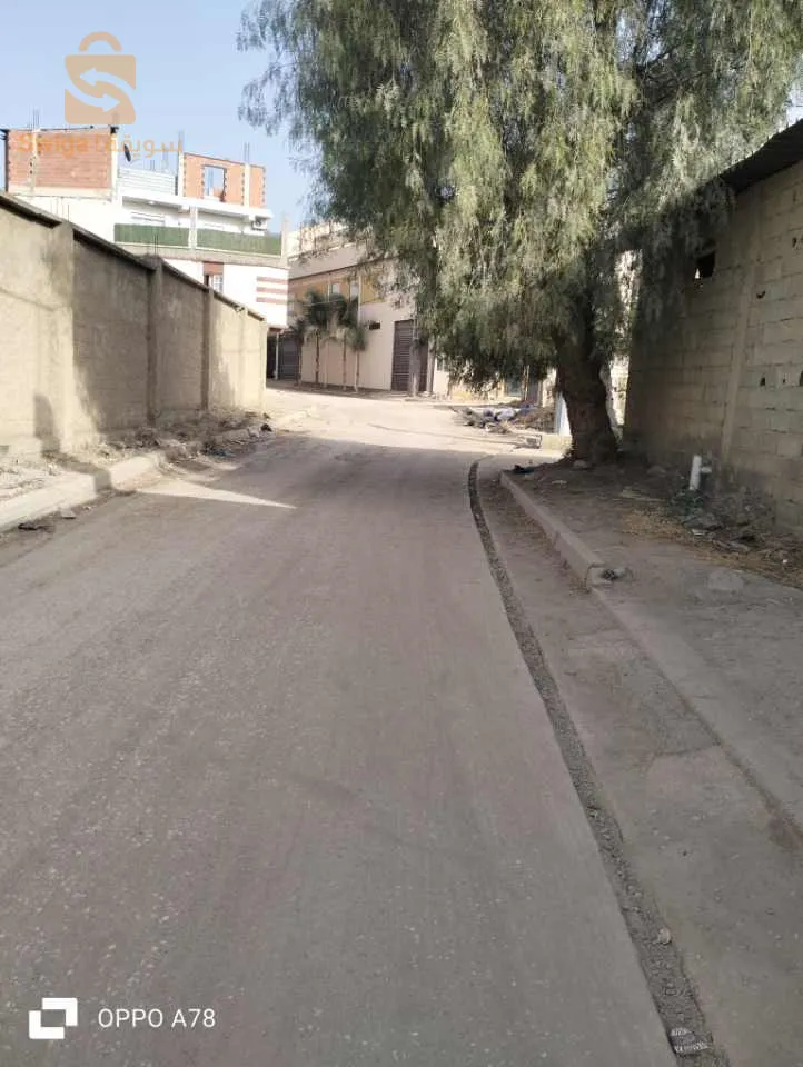 تراب للبيع في ولاد سلامة ولاية البليدة بالضبط في مراكشي الوثائق بابي تامبري المهتم يتصل بالرقم 0664511896