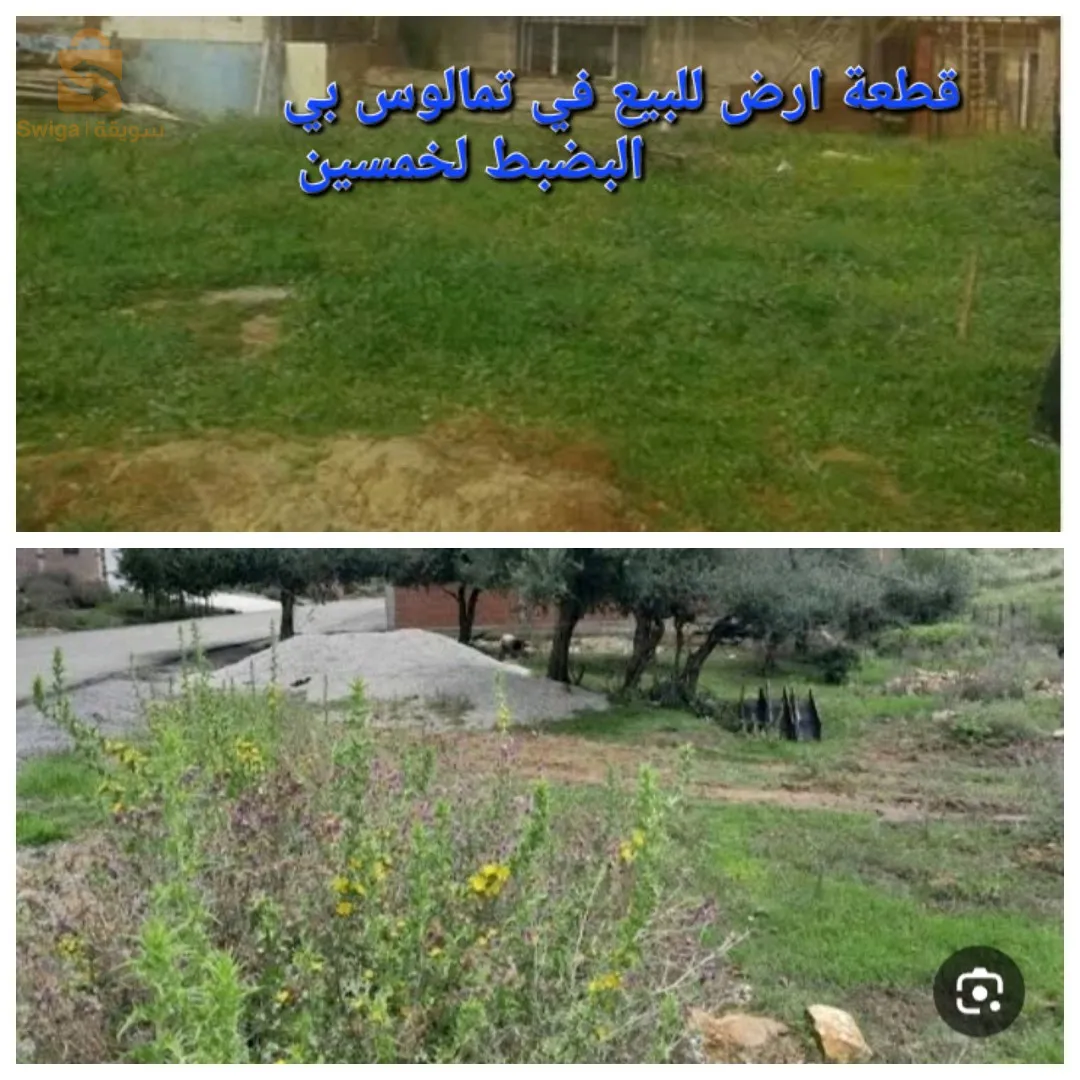 قطعة ارض للبيع فيها  متر230