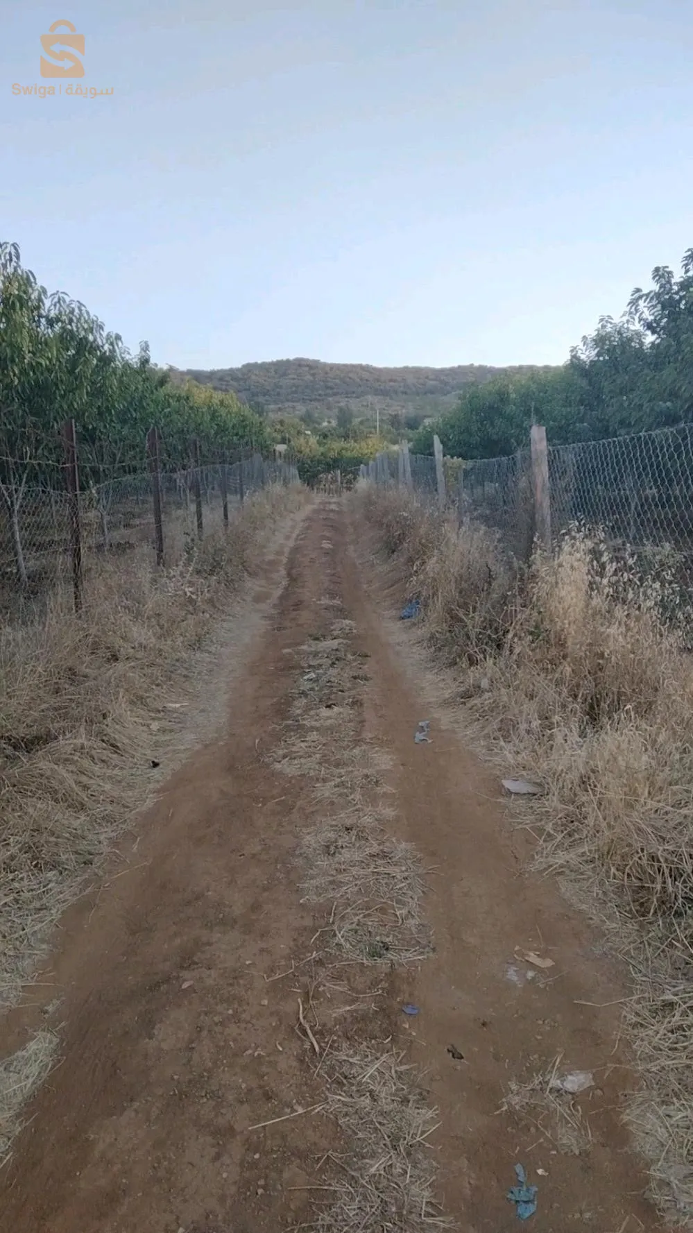 attar Mansoura Tlemcen