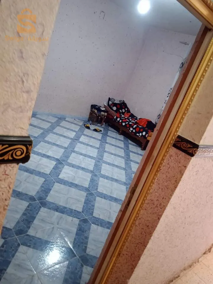 دان سبع