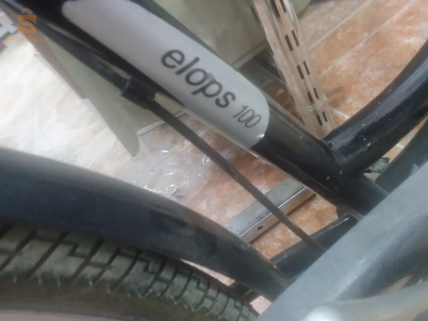 الشراربة الكاليتوس