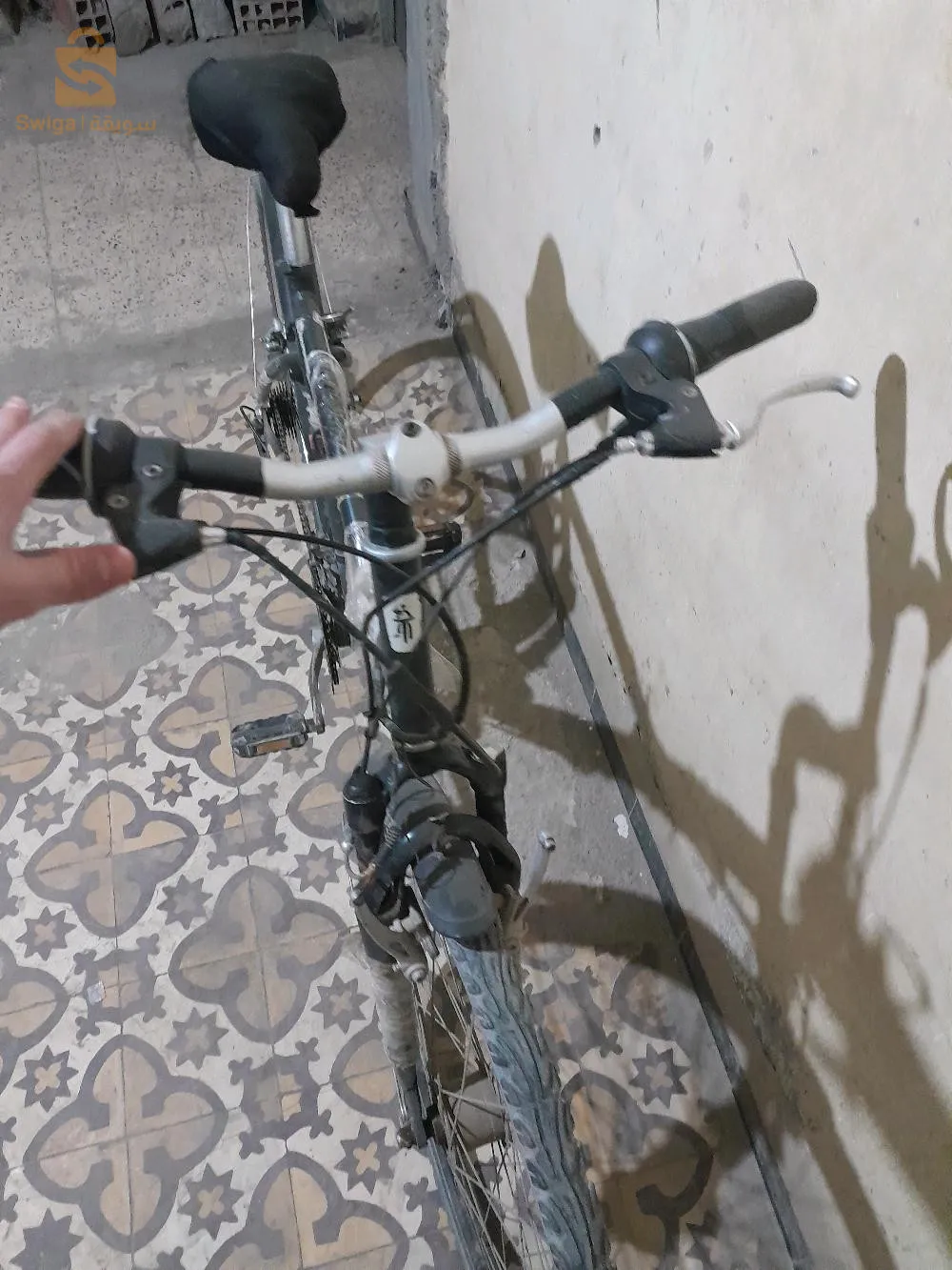 العلمة