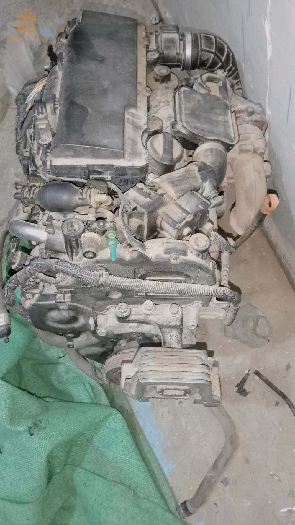 بريكة