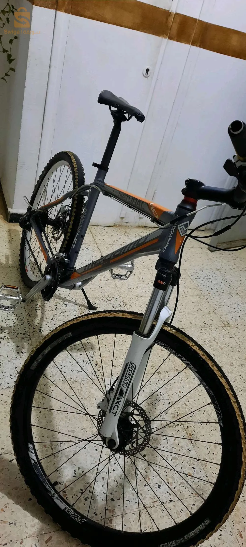 ✨️✨️✨️✨️✨️✨️✨️💪💪💪💪💪💪💪
  خاوتي لعزاز هايليكم جديدفيلو جديدة هيدروليك natural meogmo فيلو جديدة وكادر نقي وكلارة تاعها اوريجينال وطاي L