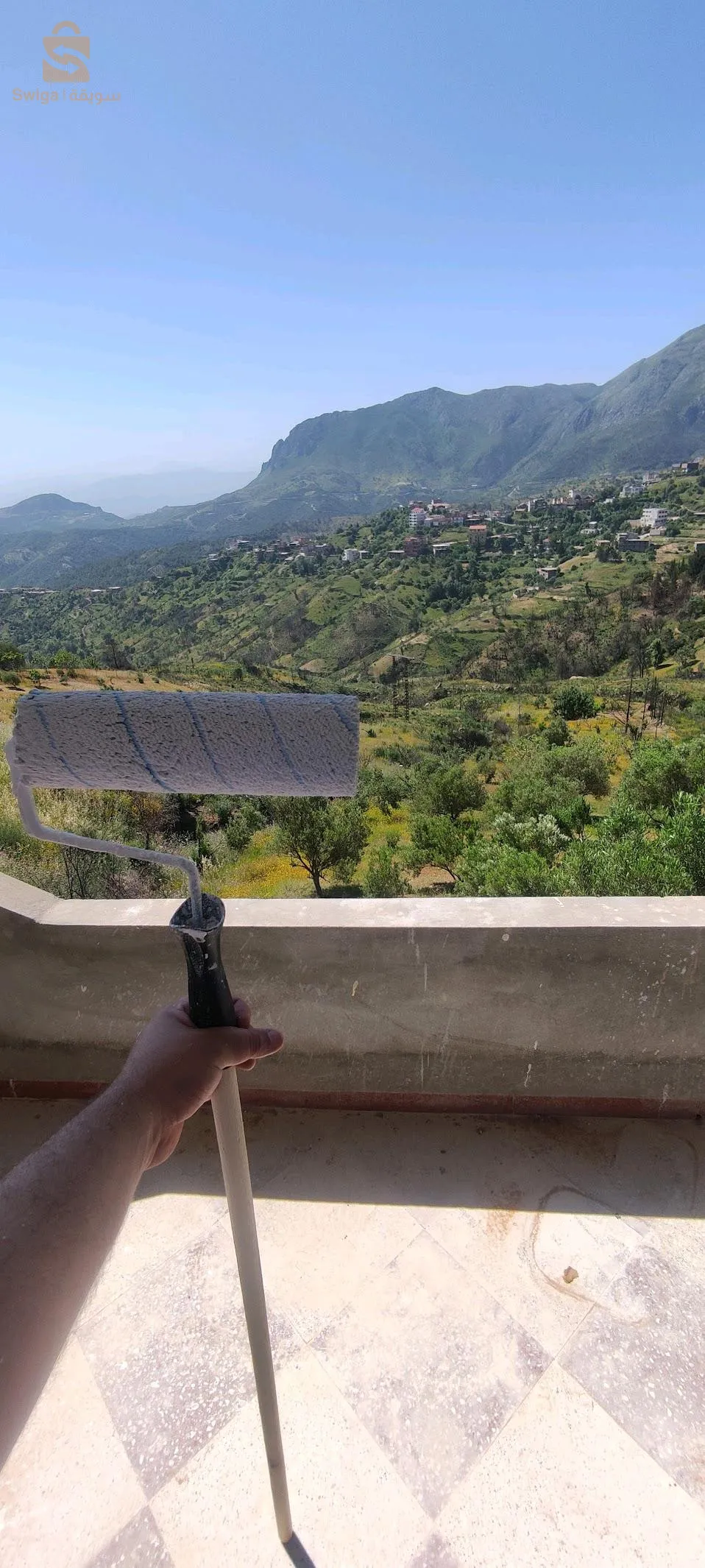 دهان وصباغة